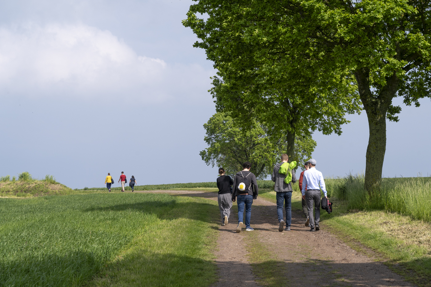 Foto einer Gruppe, die auf einem Feldweg spazieren geht. Die Bäume sind grün, der Himmel voller Wolken.